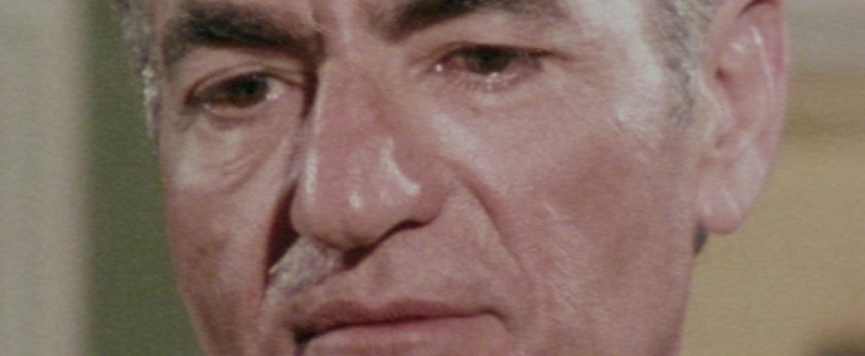 The Fall of a Shah